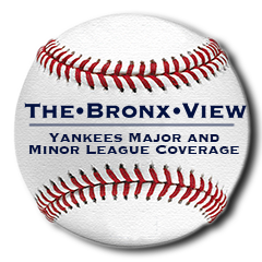 The Bronx View